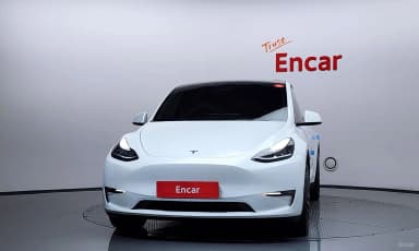Model Y