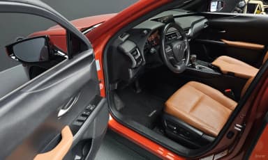 UX250h