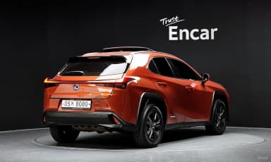UX250h