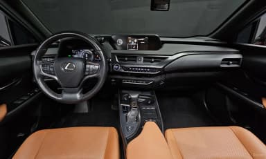 UX250h