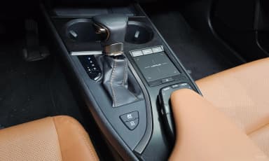 UX250h
