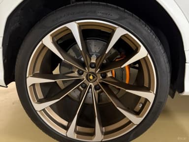 Urus