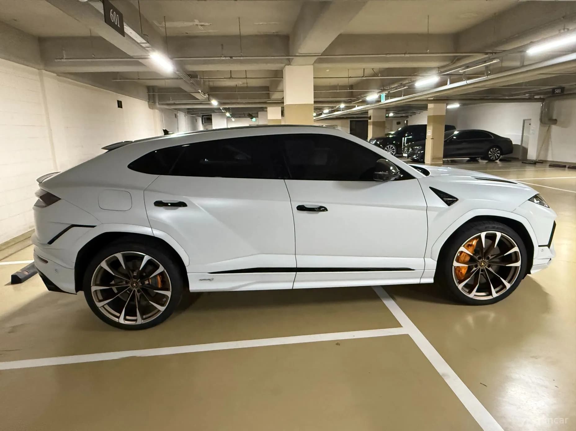 Urus