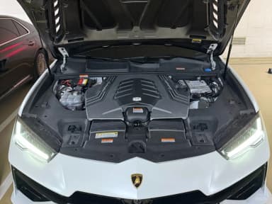 Urus