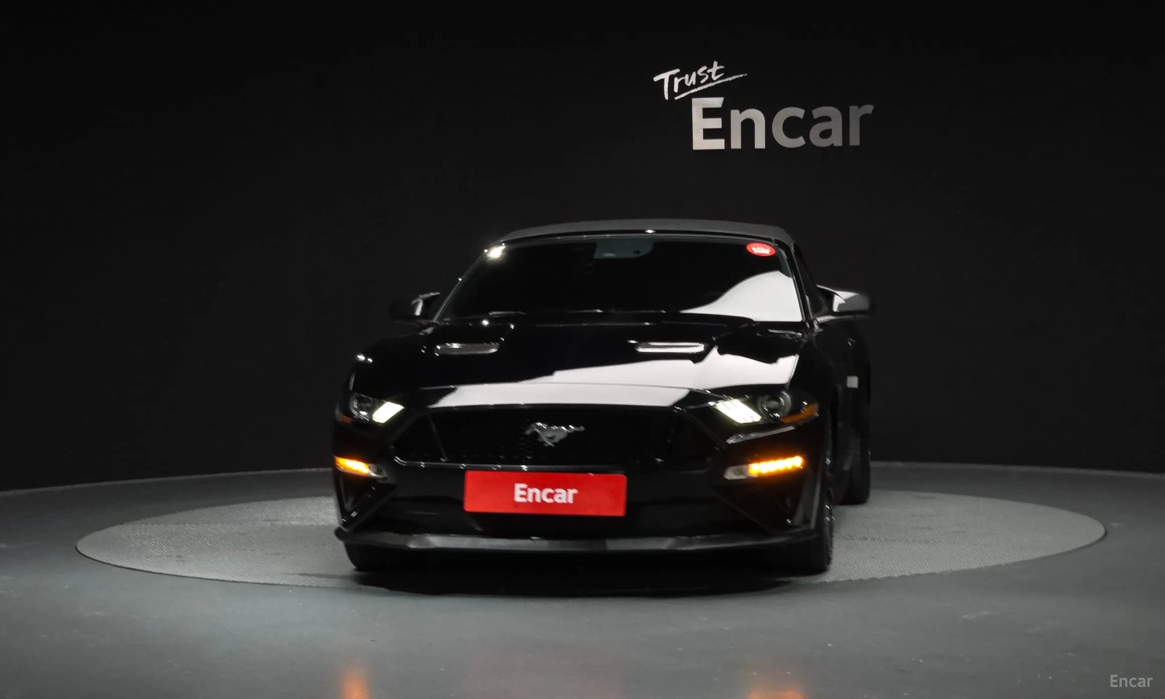 Mustang