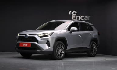 RAV4 5th Generation