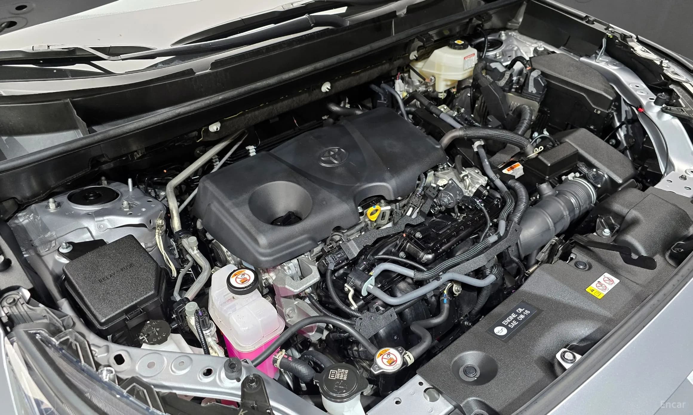 RAV4 5th Generation