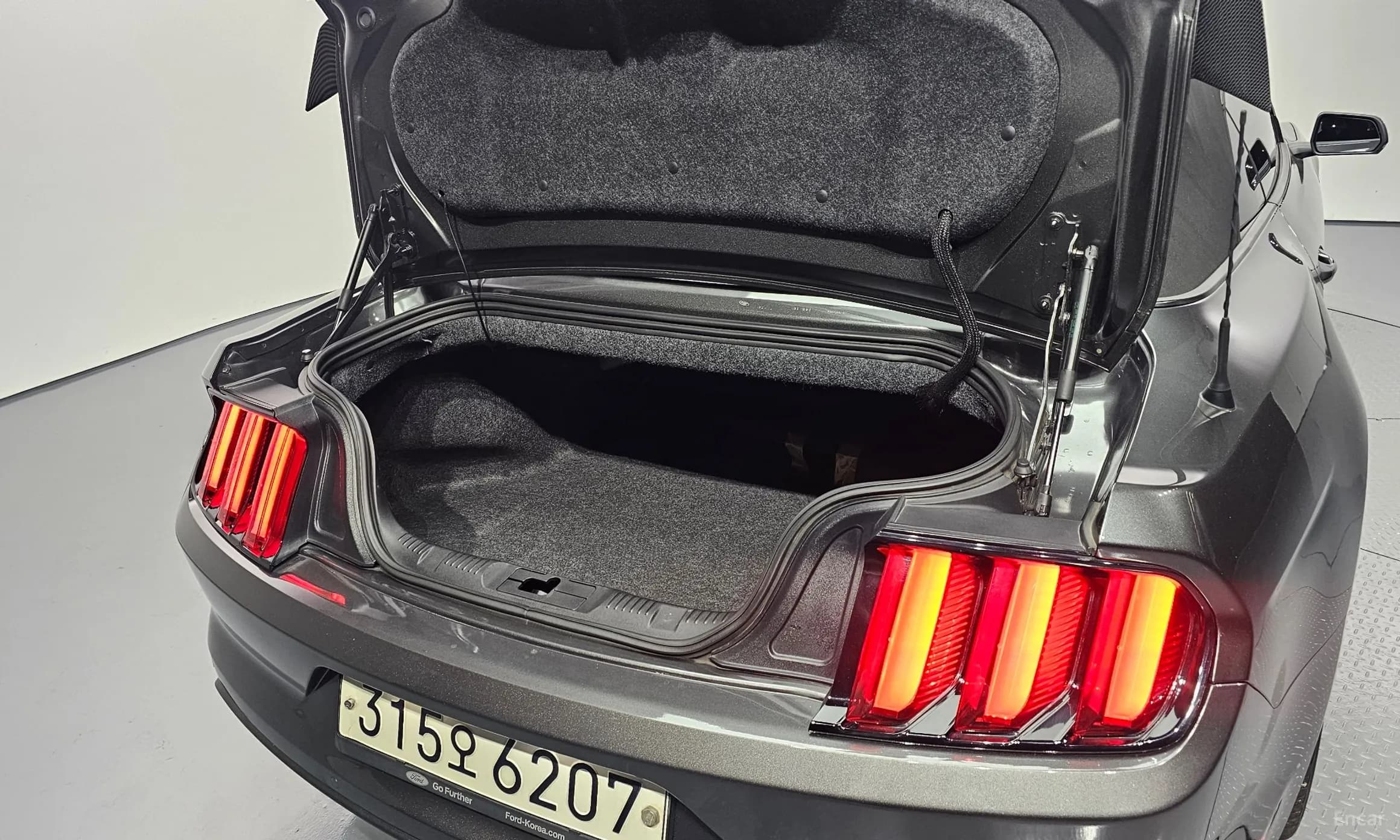 Mustang