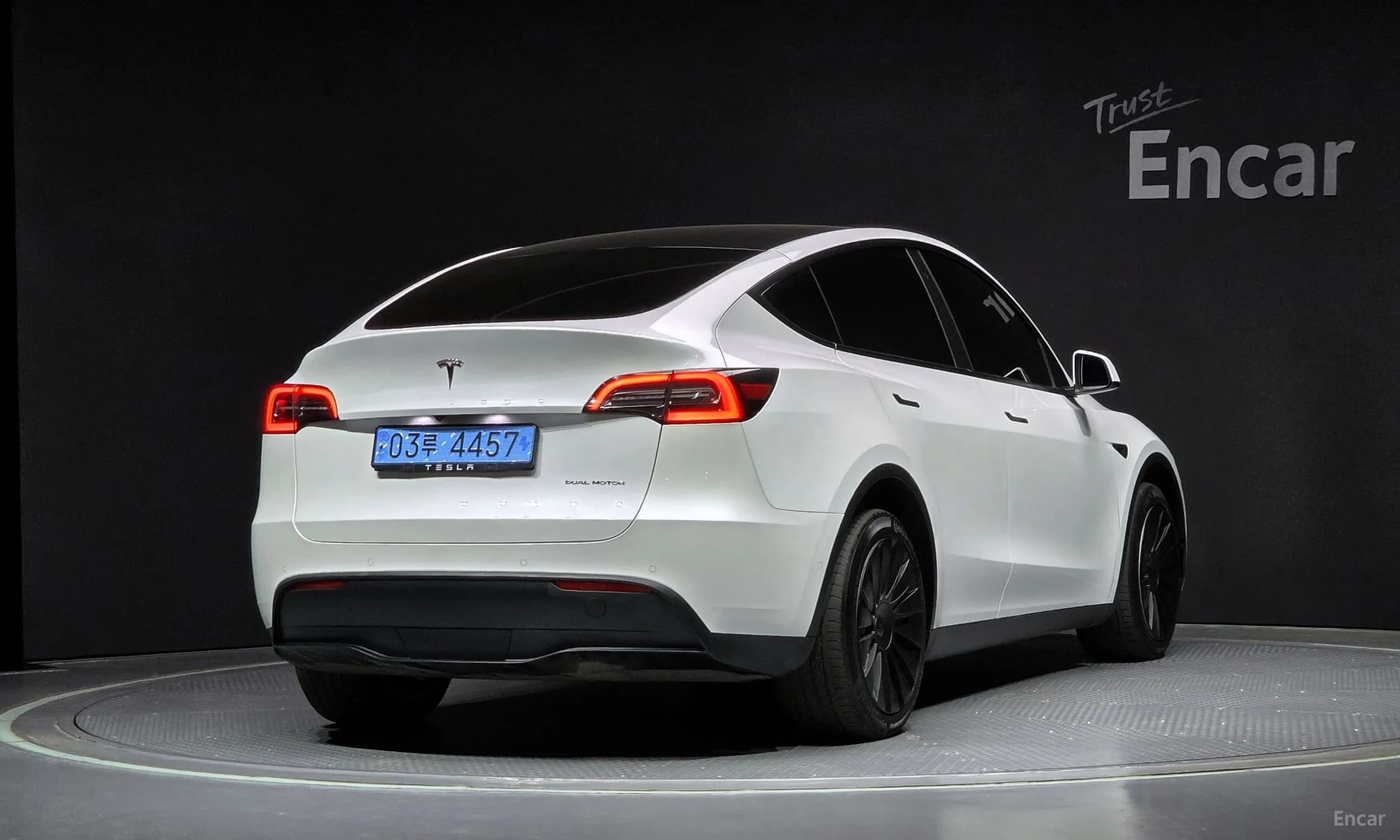 Model Y