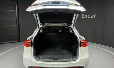 Model Y