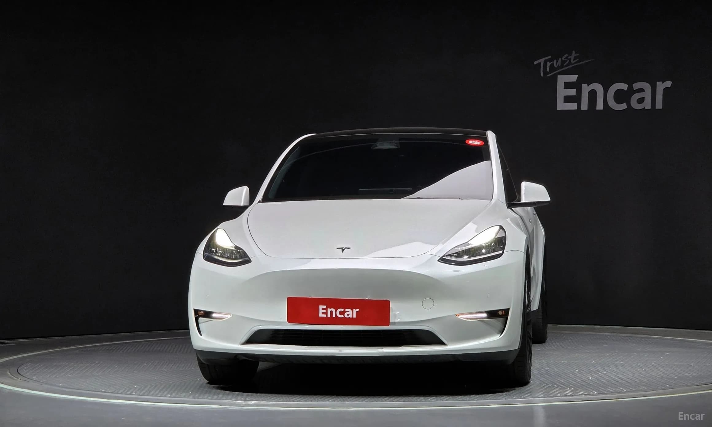 Model Y