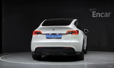 Model Y