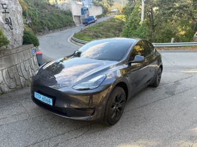 Model Y