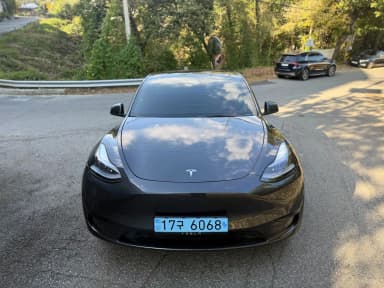 Model Y