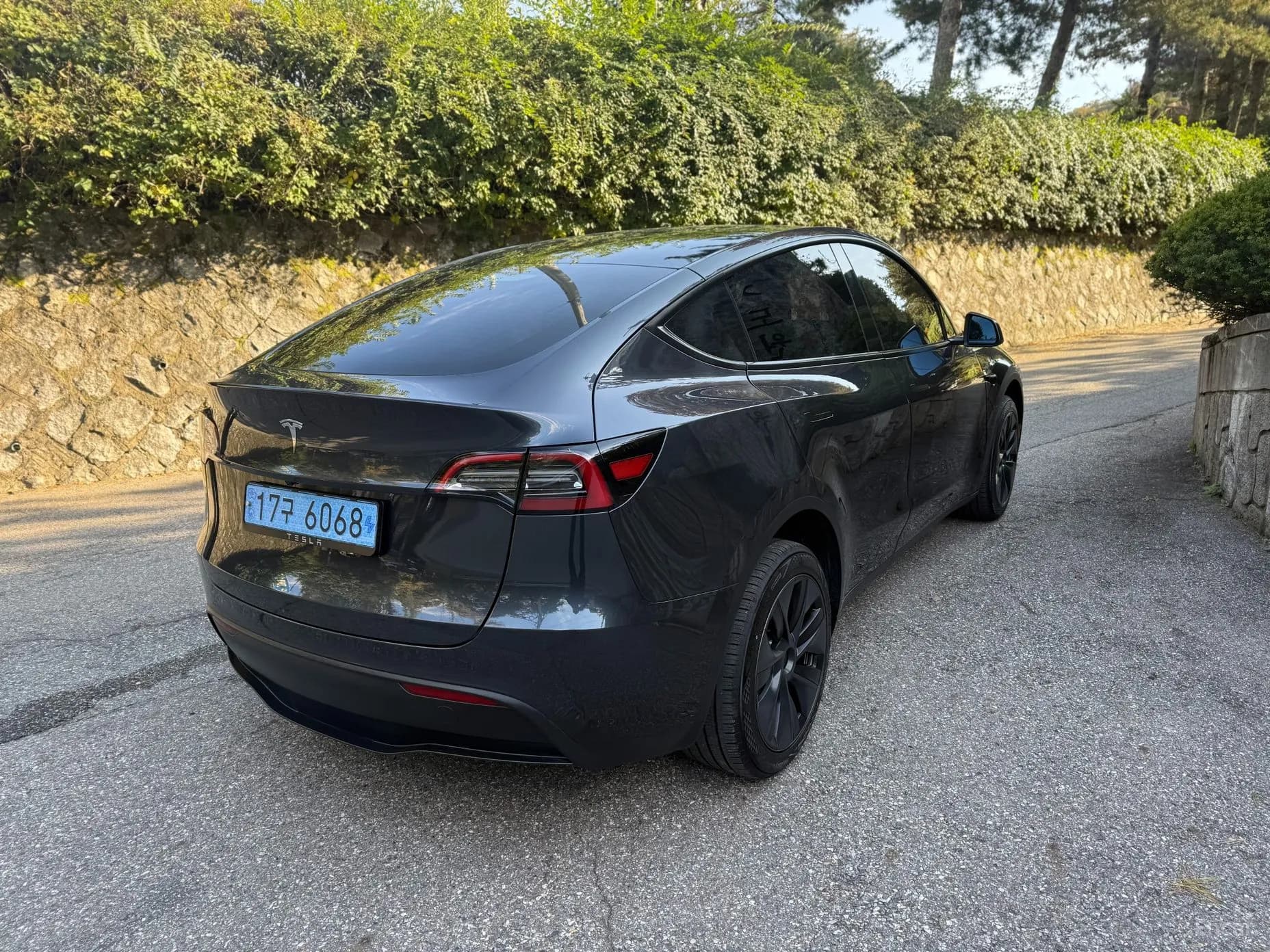 Model Y