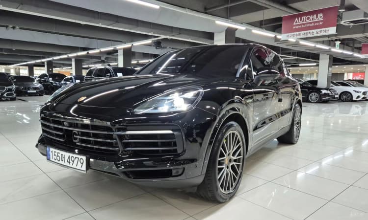 Cayenne (PO536)