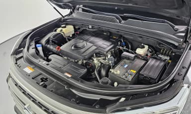 Rexton Sports