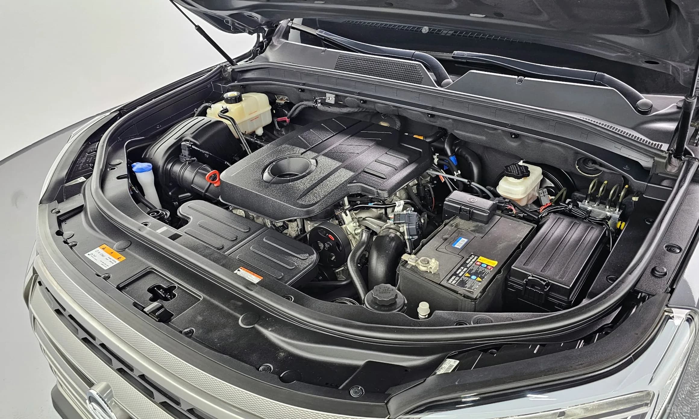 Rexton Sports