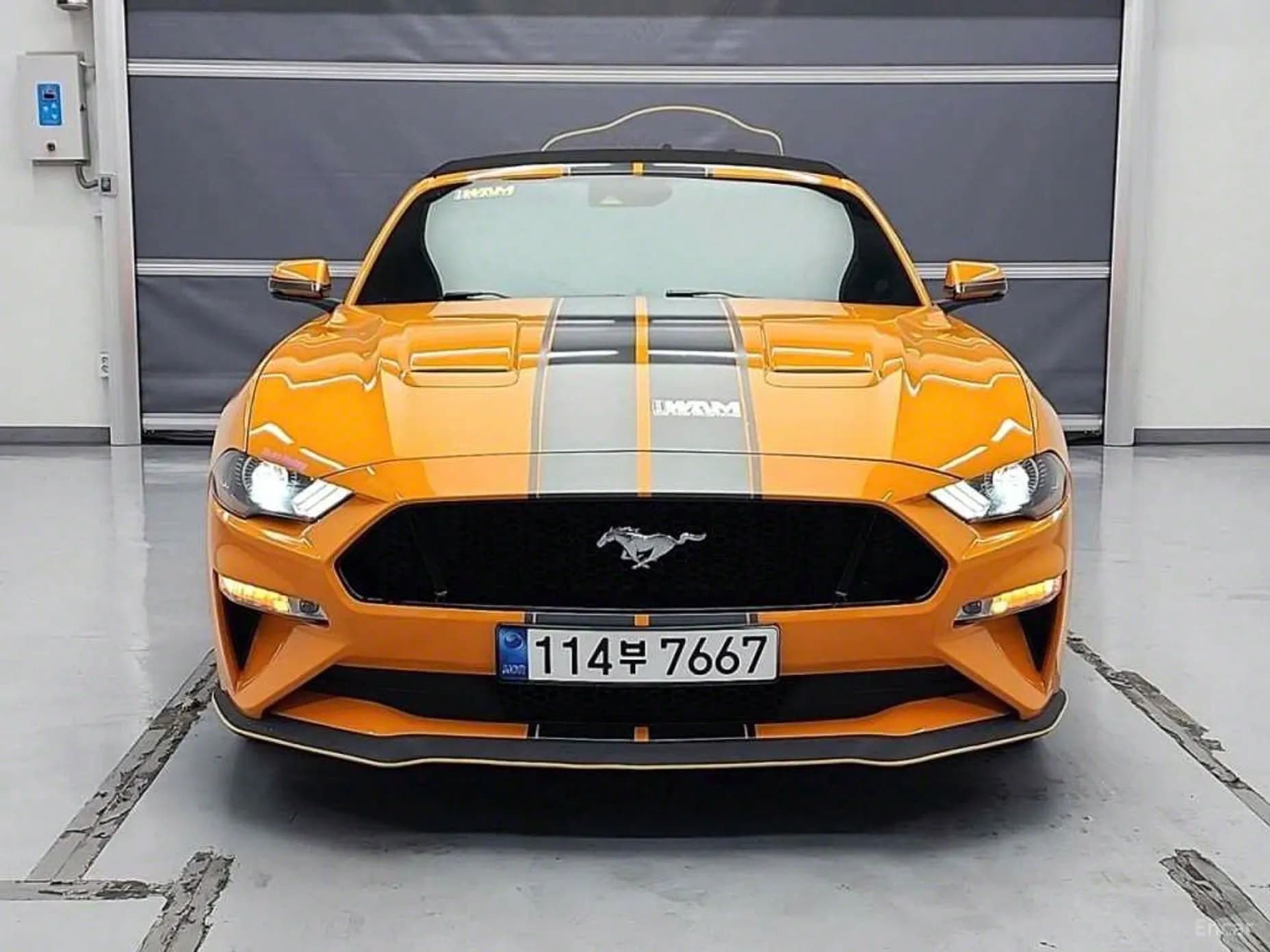 Mustang