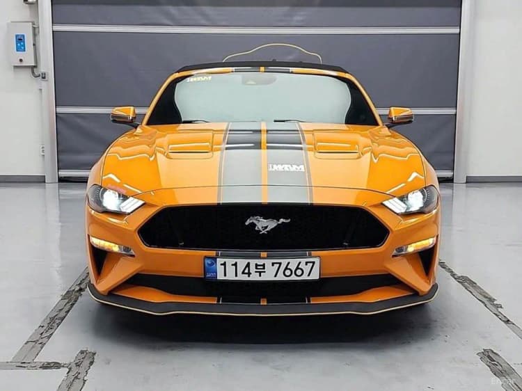 Mustang