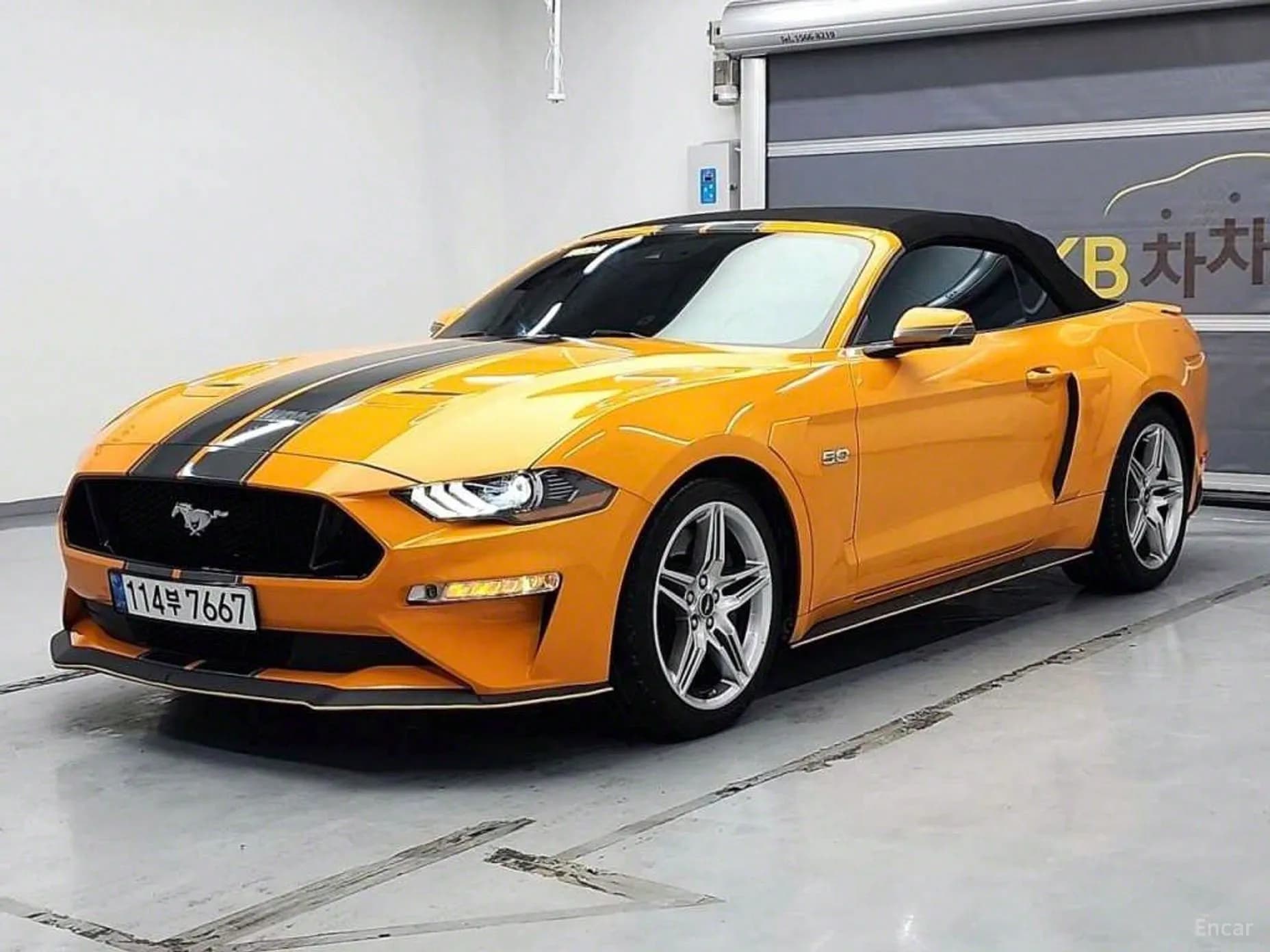 Mustang