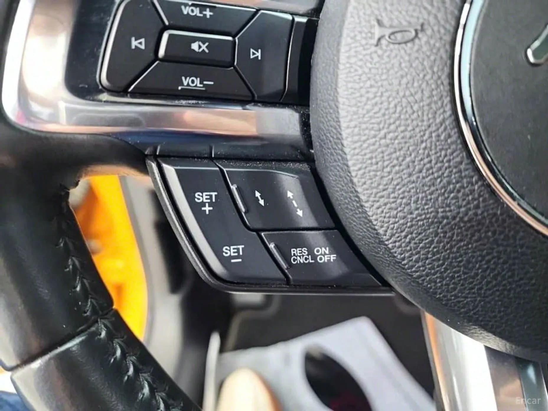 Mustang