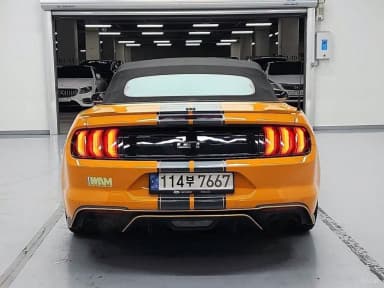 Mustang
