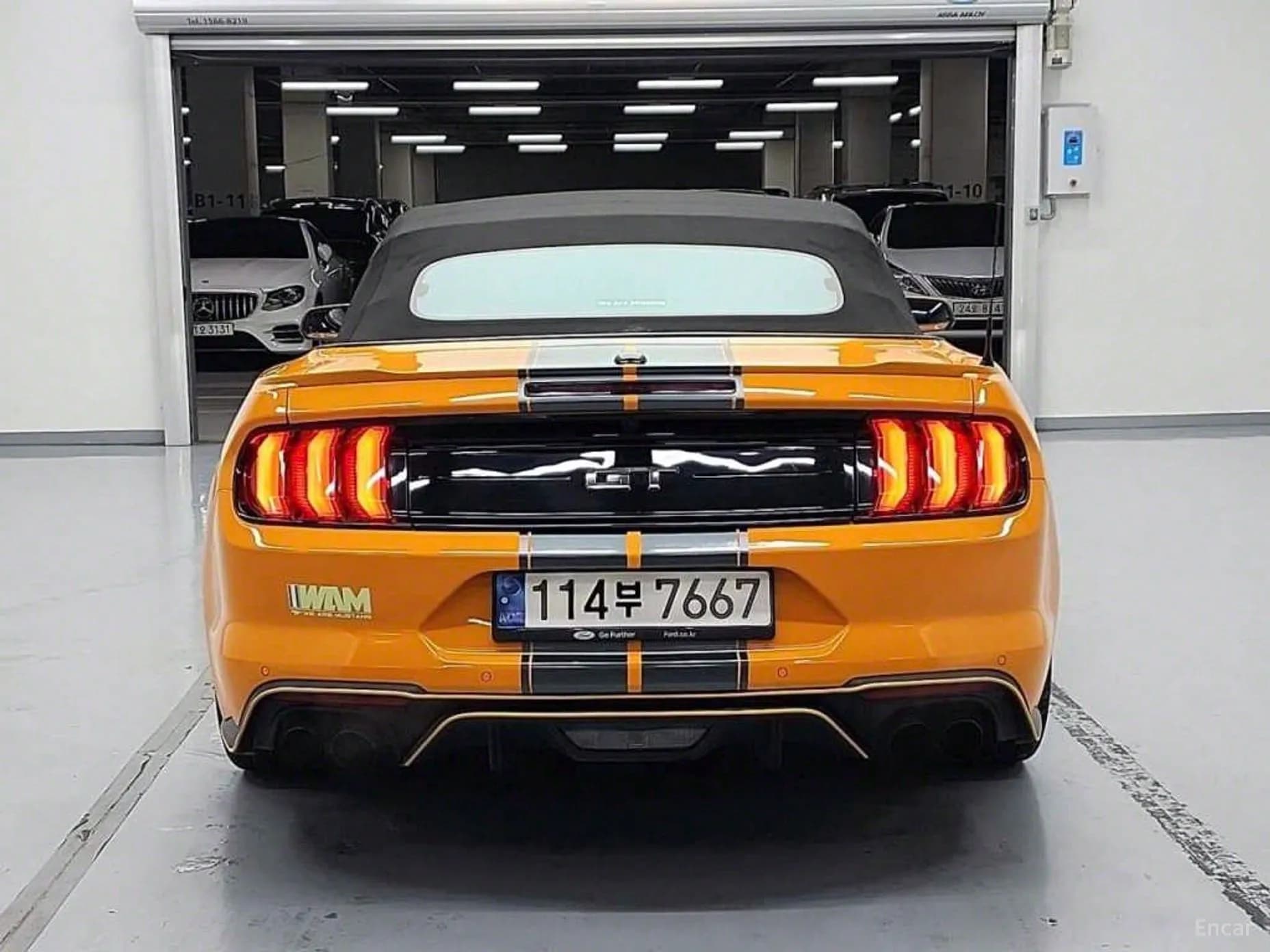 Mustang