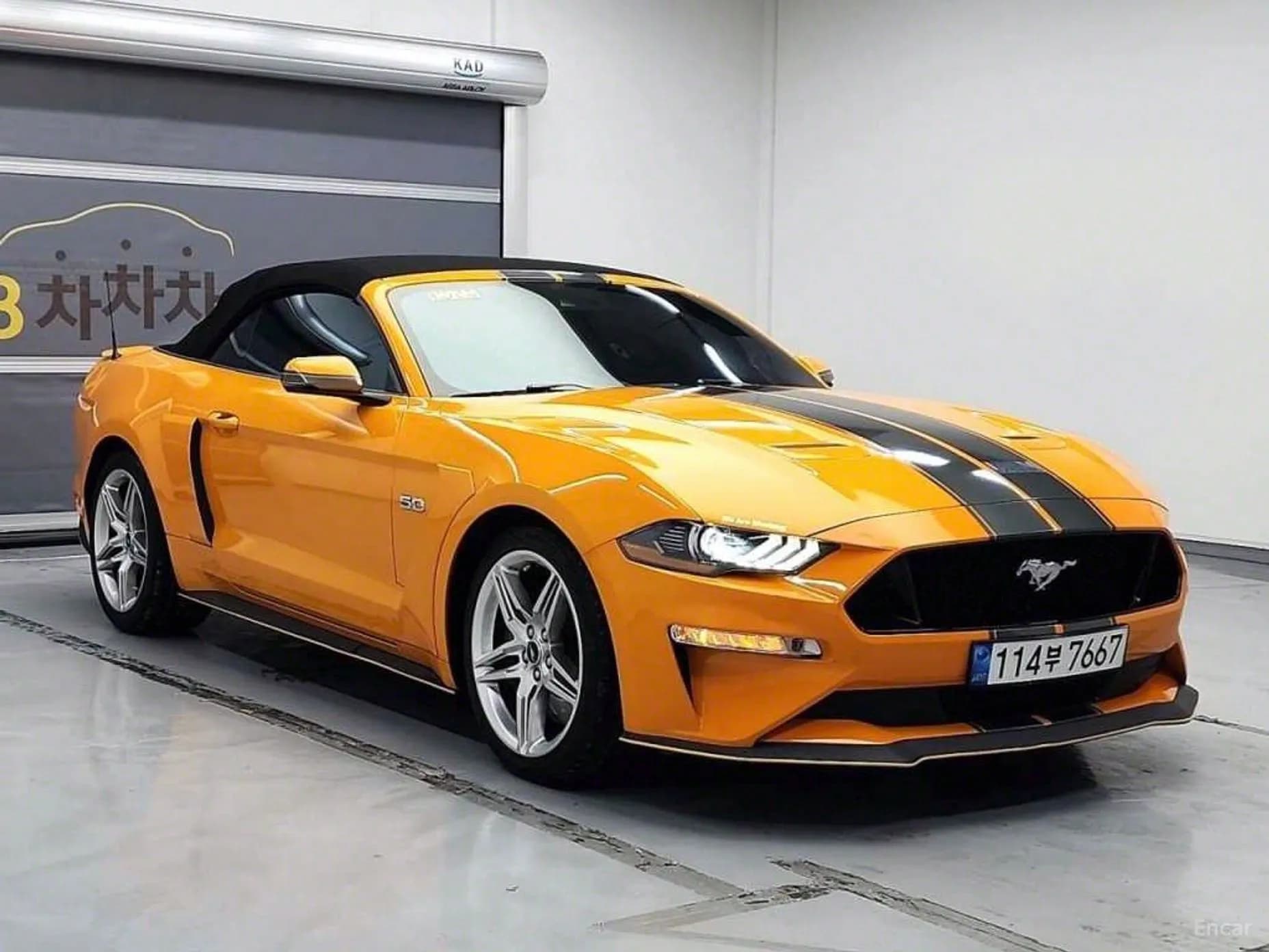 Mustang
