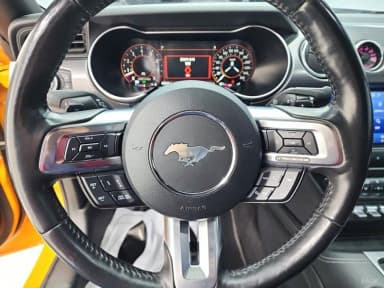Mustang