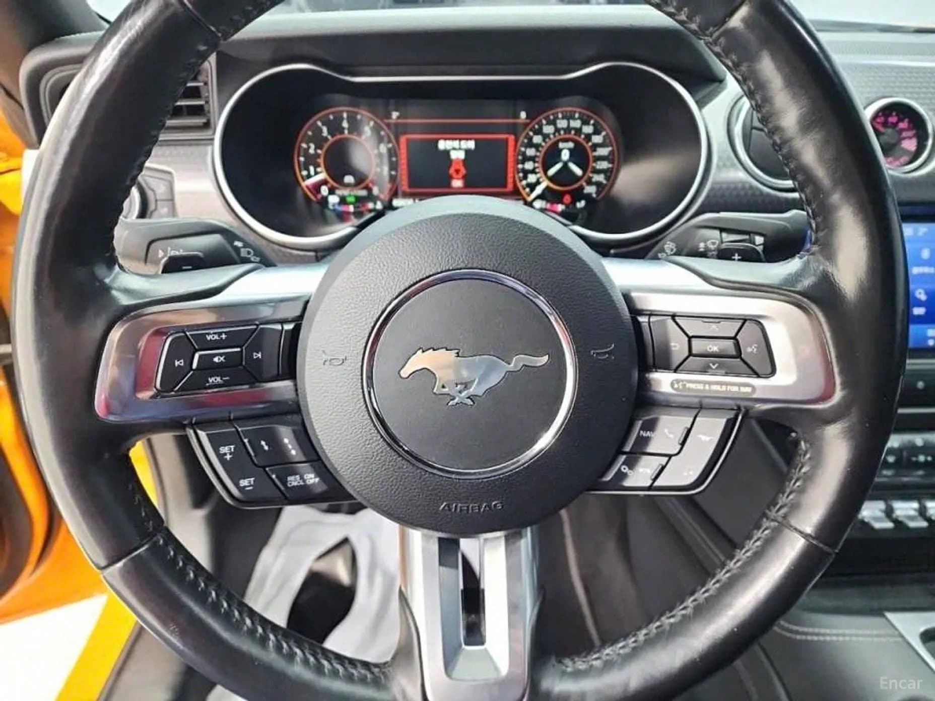 Mustang