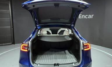 Model Y