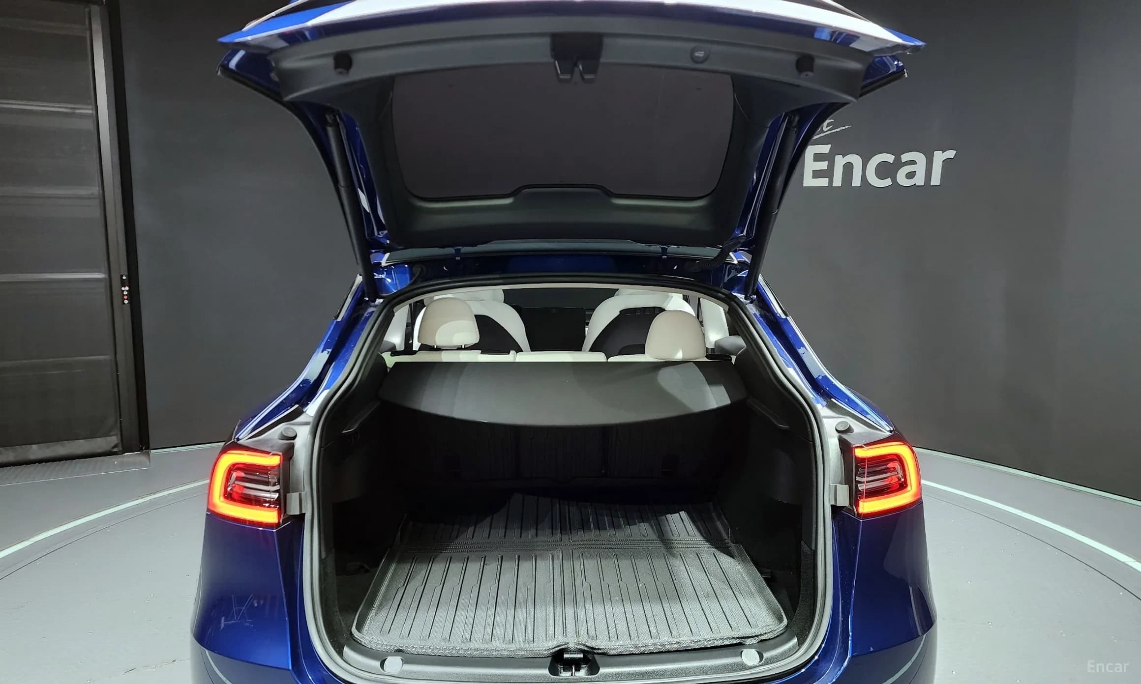 Model Y