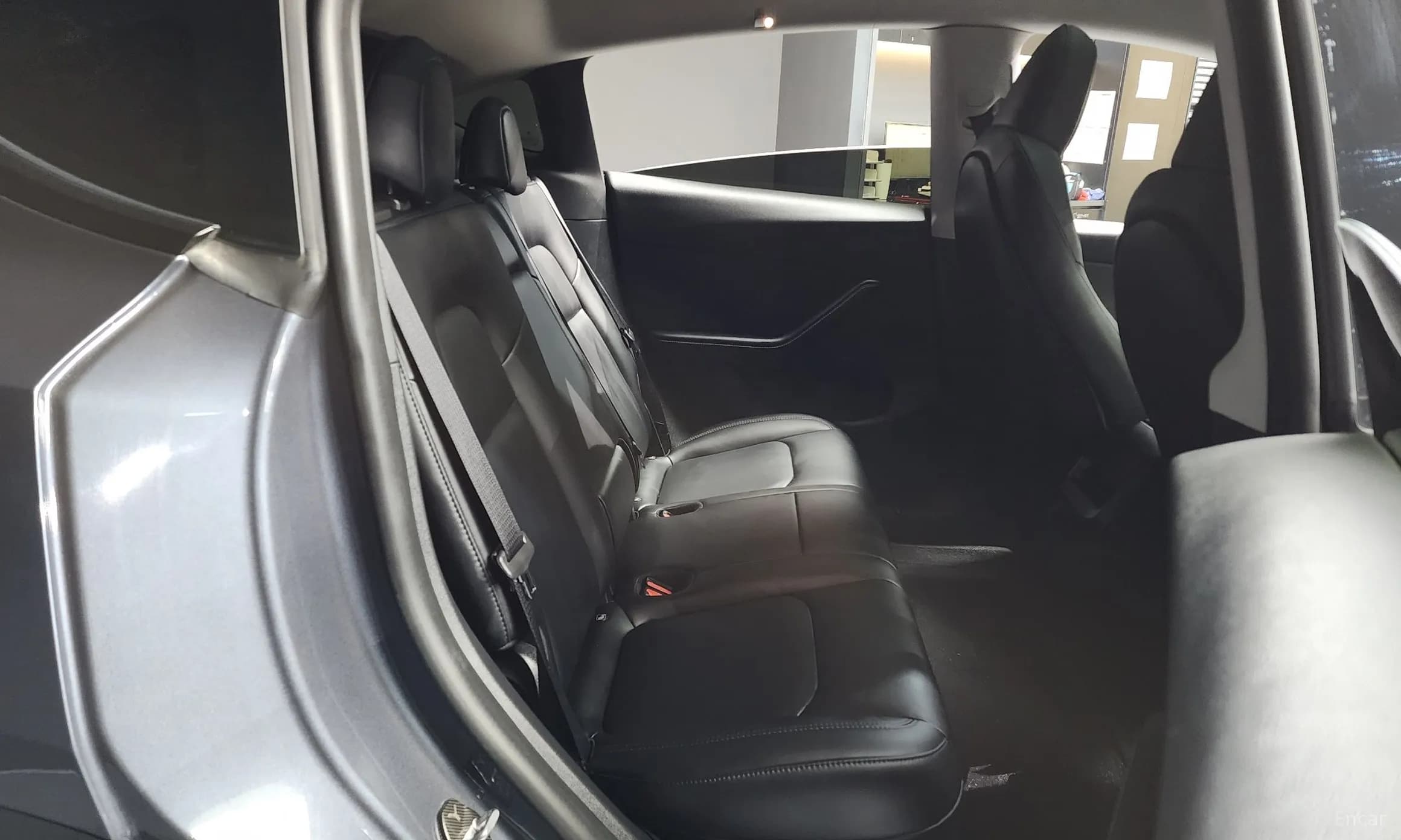 Model Y