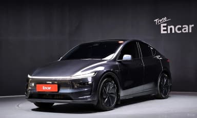 Model Y
