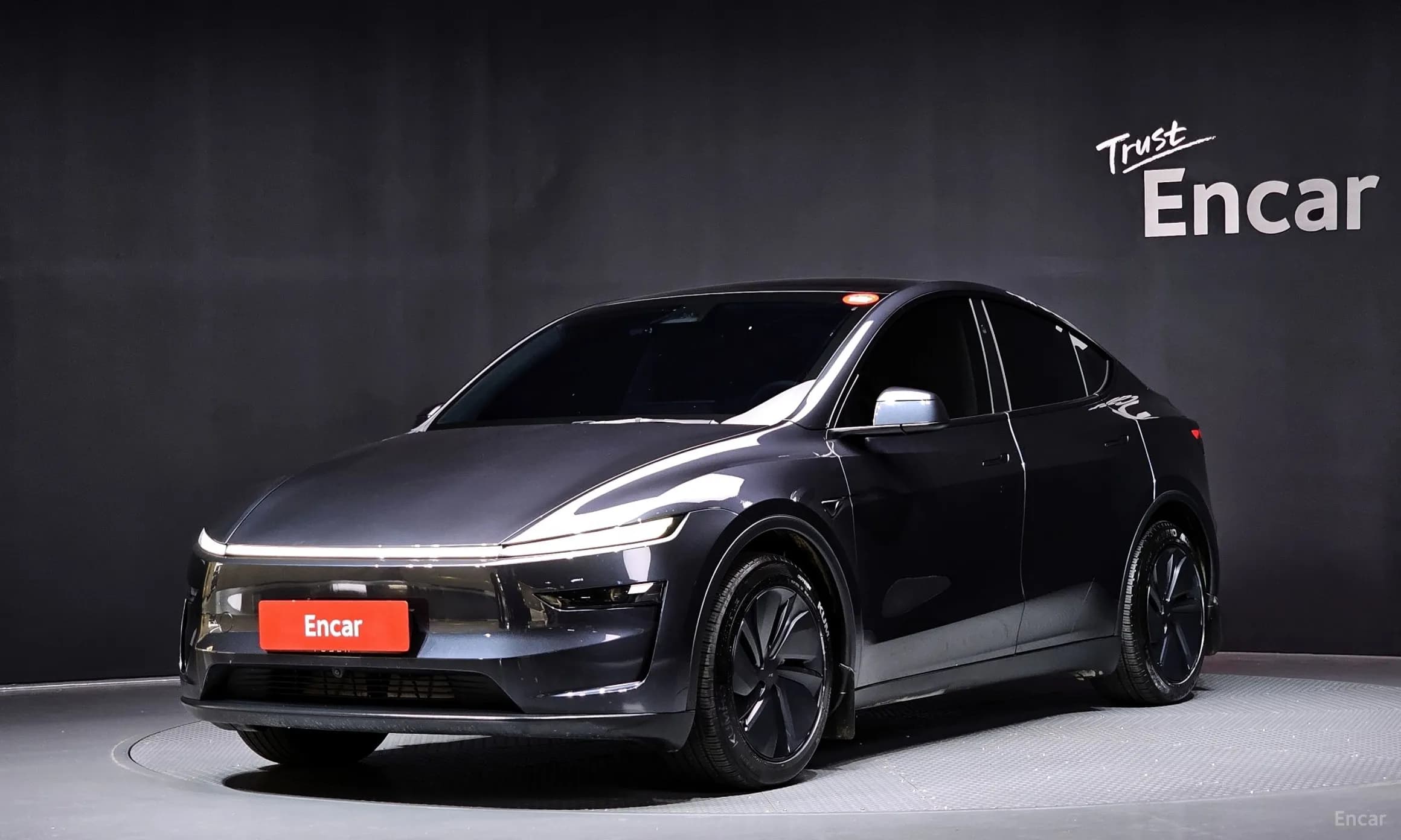 Model Y
