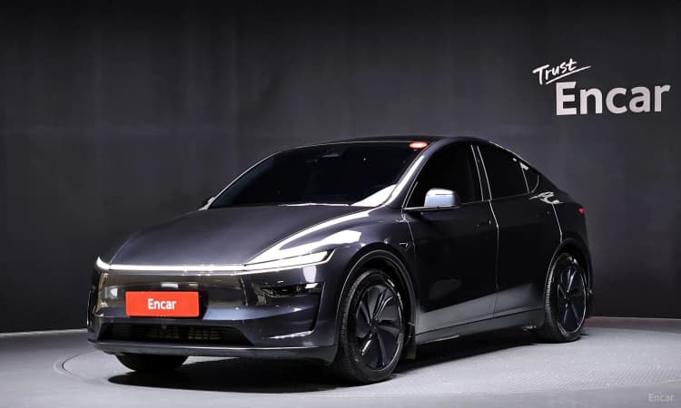 Model Y
