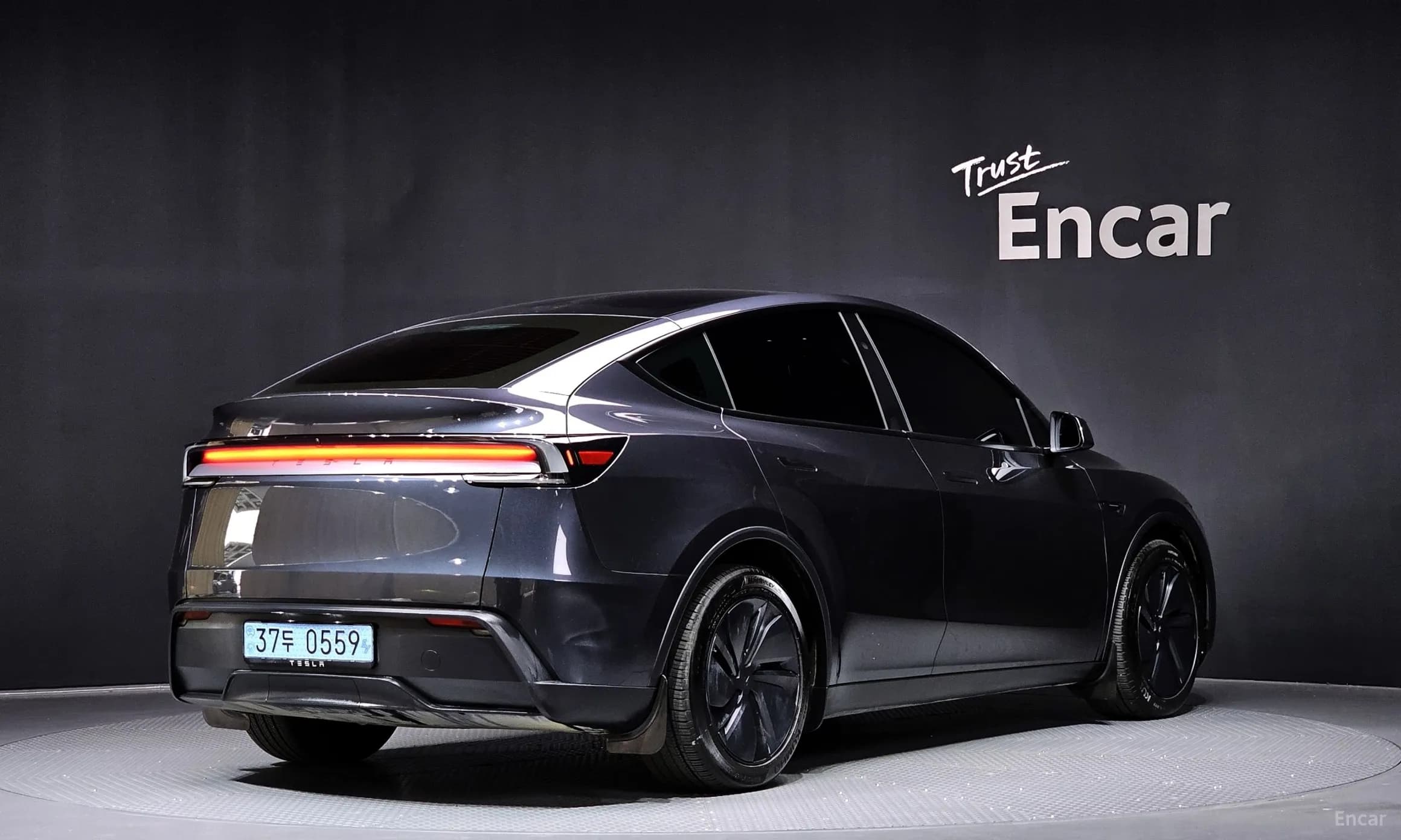Model Y