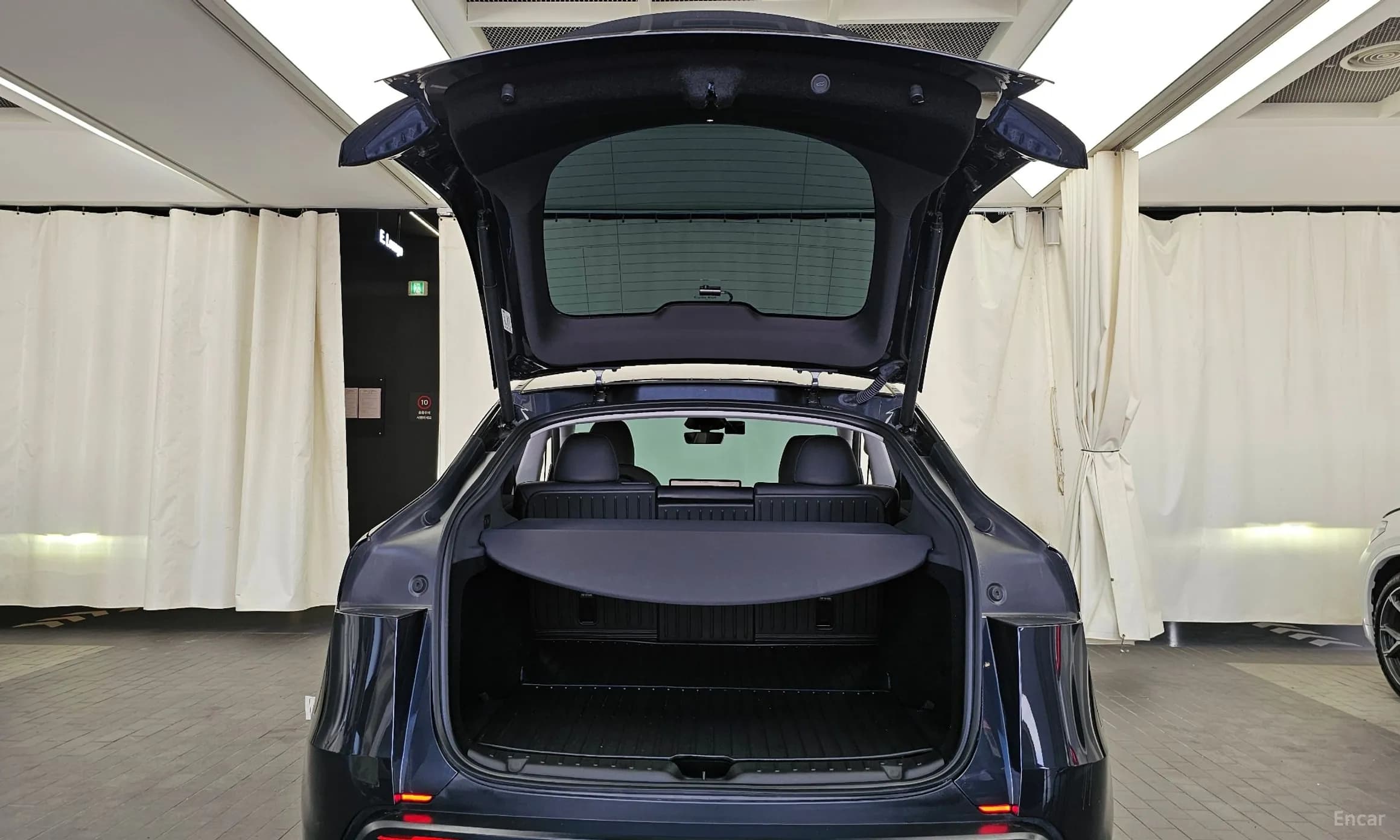 Model Y