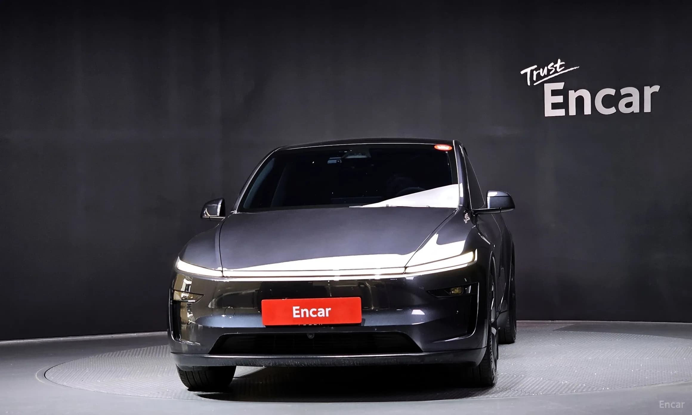 Model Y