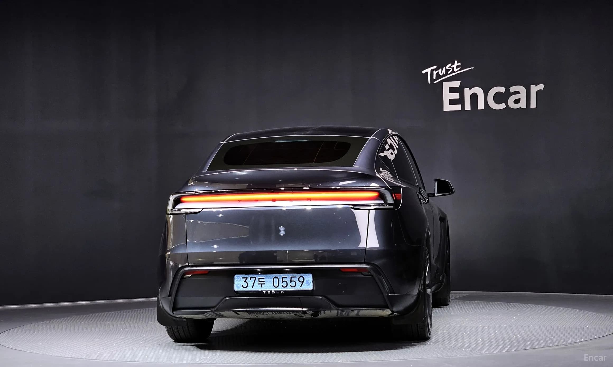 Model Y