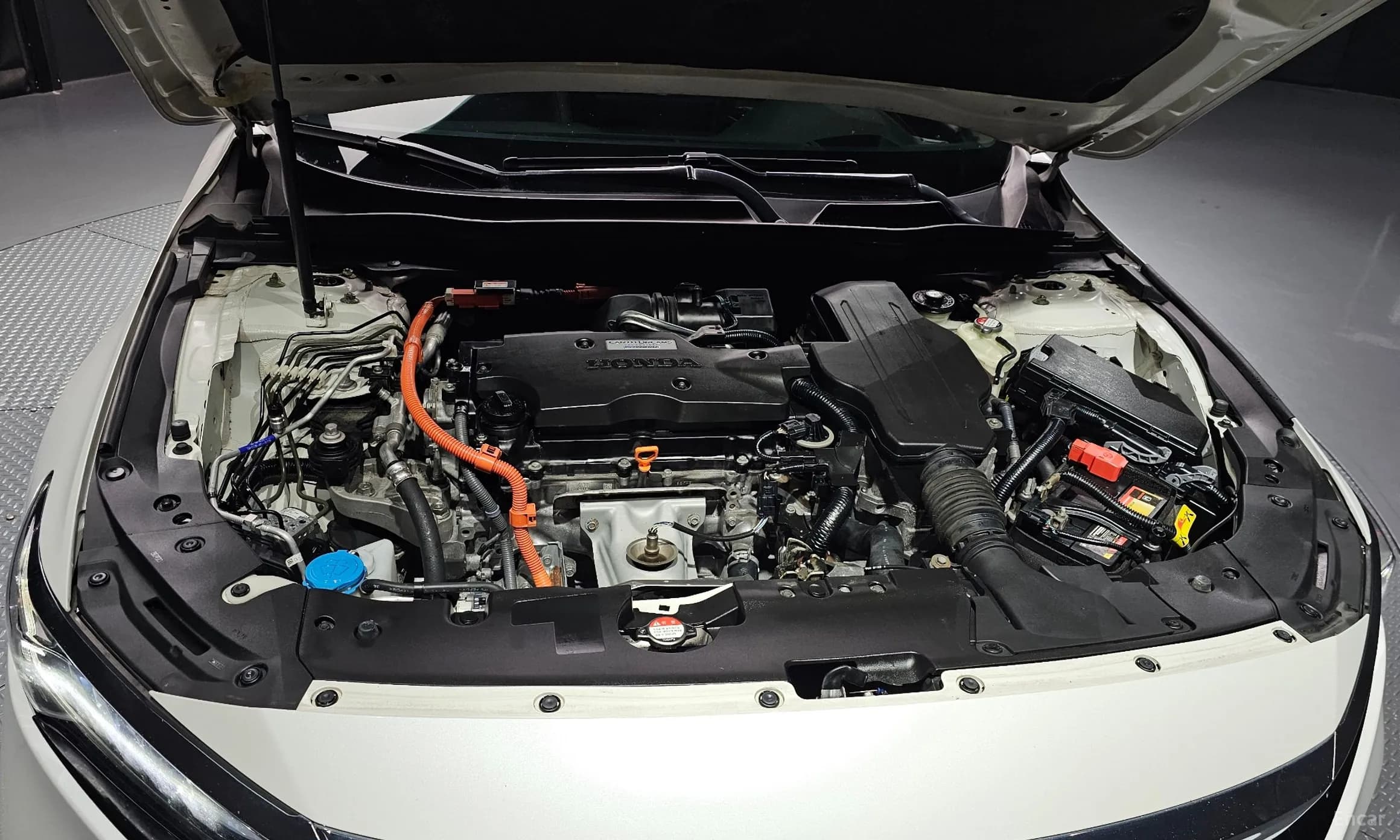 Accord 10th Generation