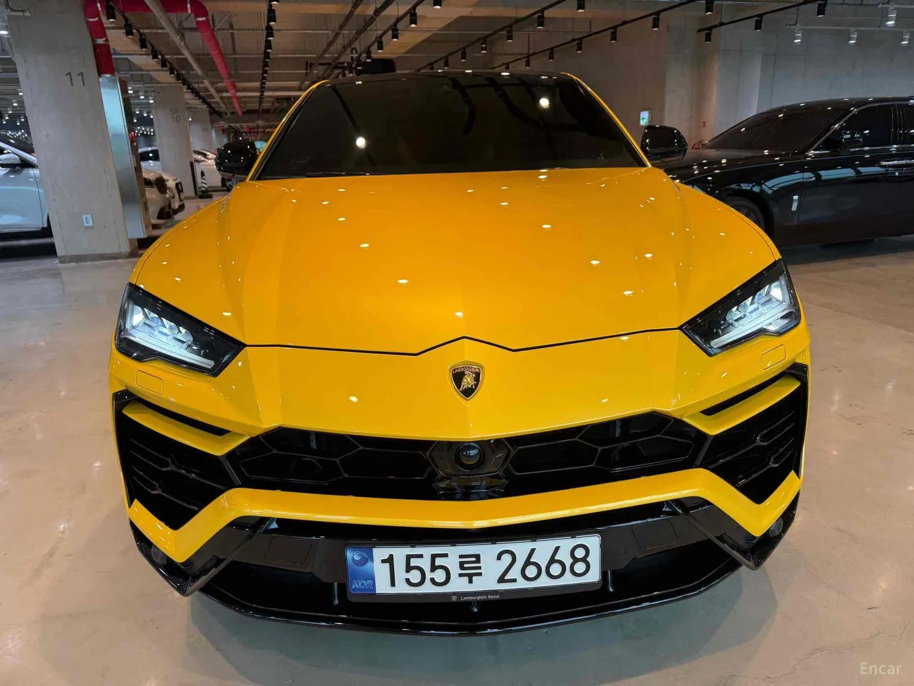 Urus