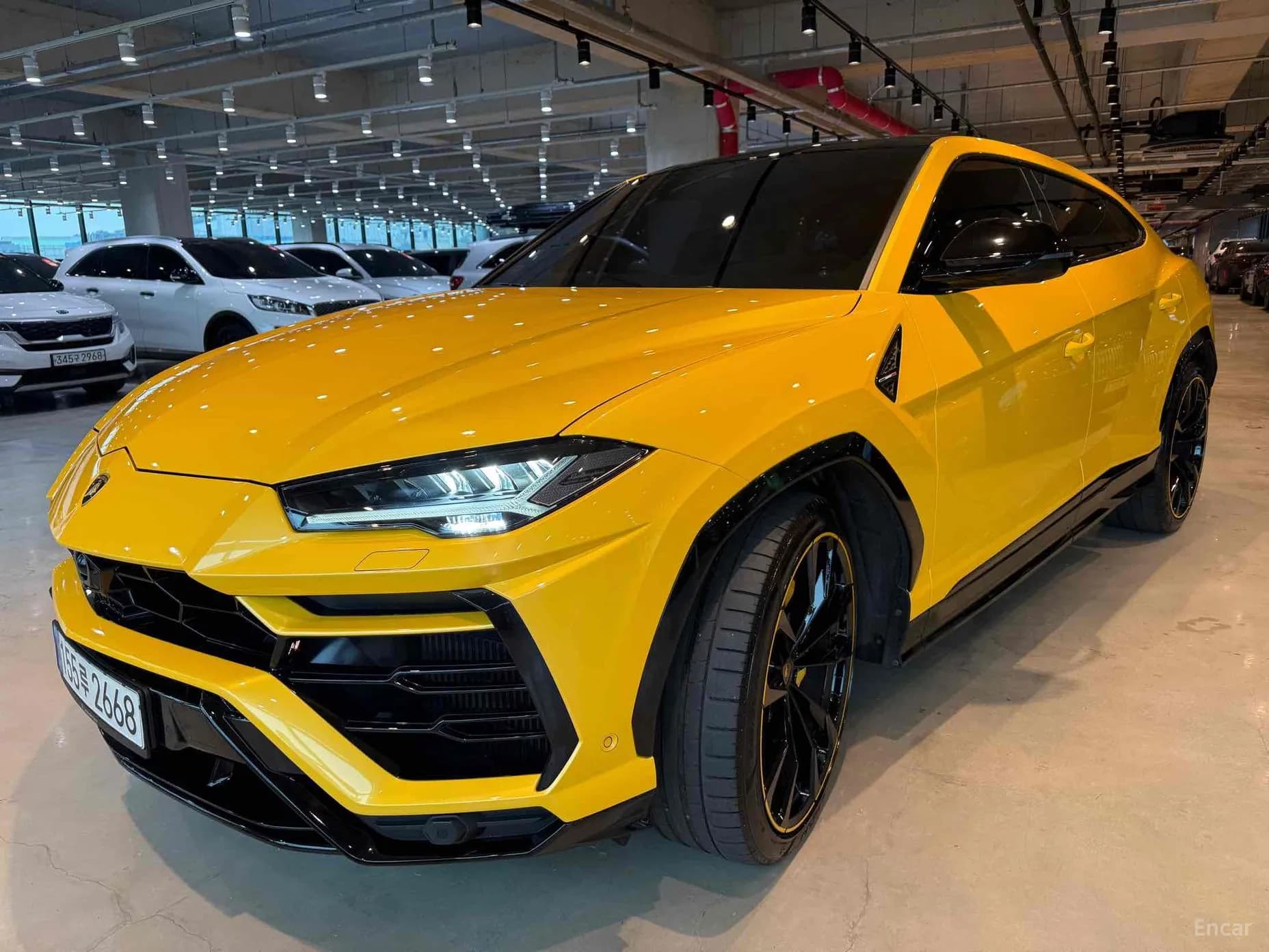 Urus