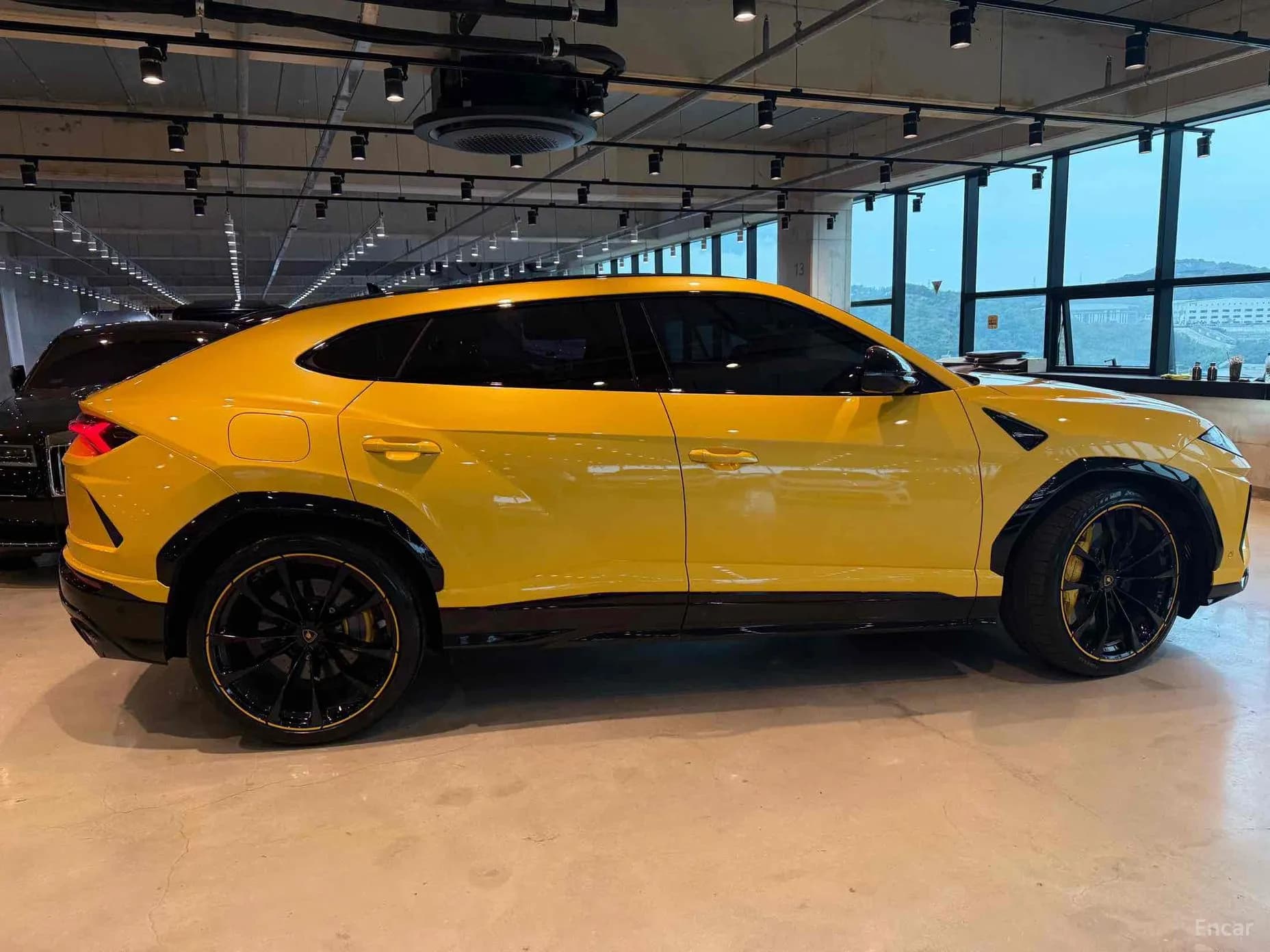 Urus