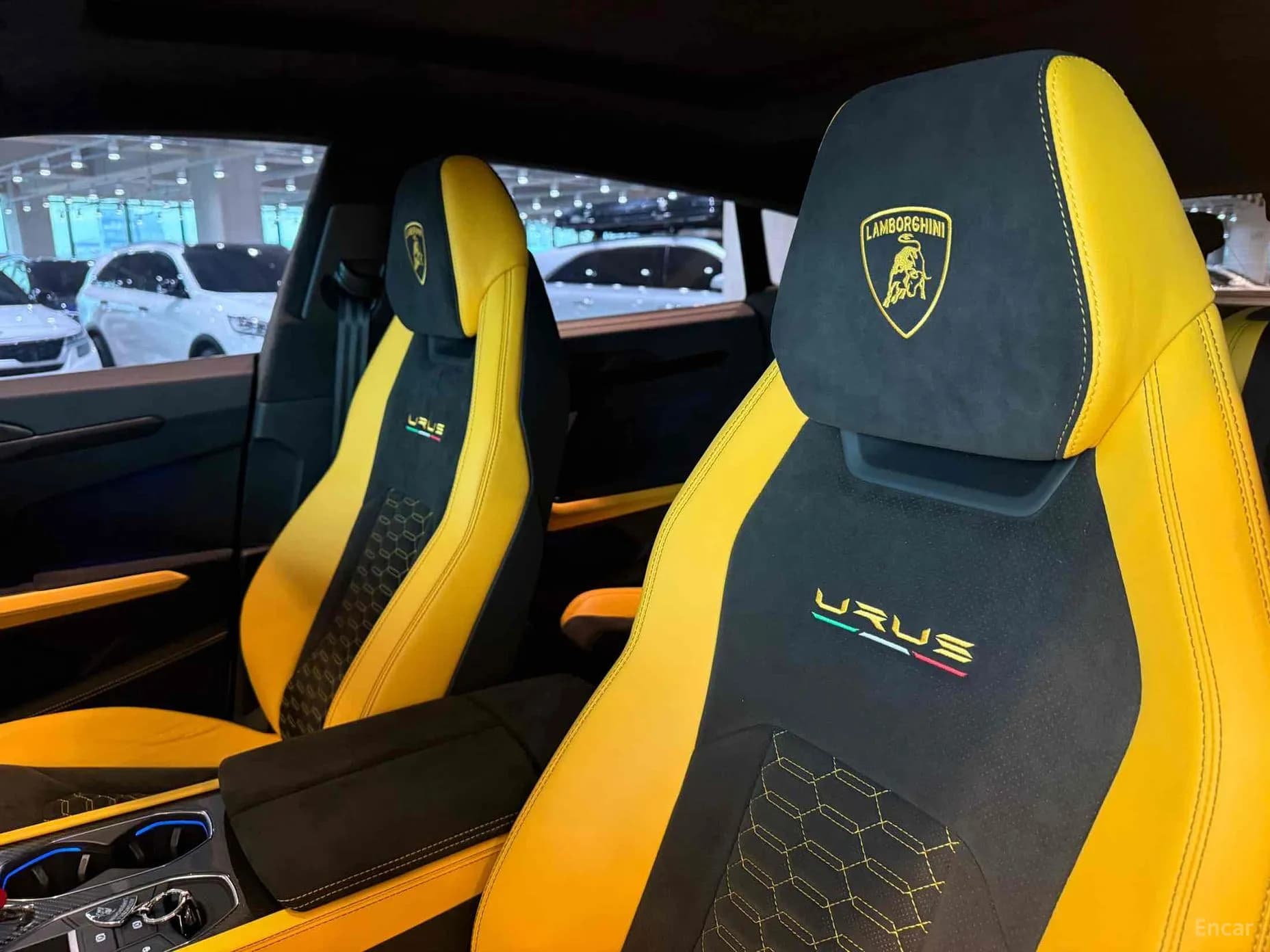 Urus
