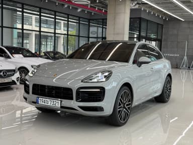 Cayenne (PO536)