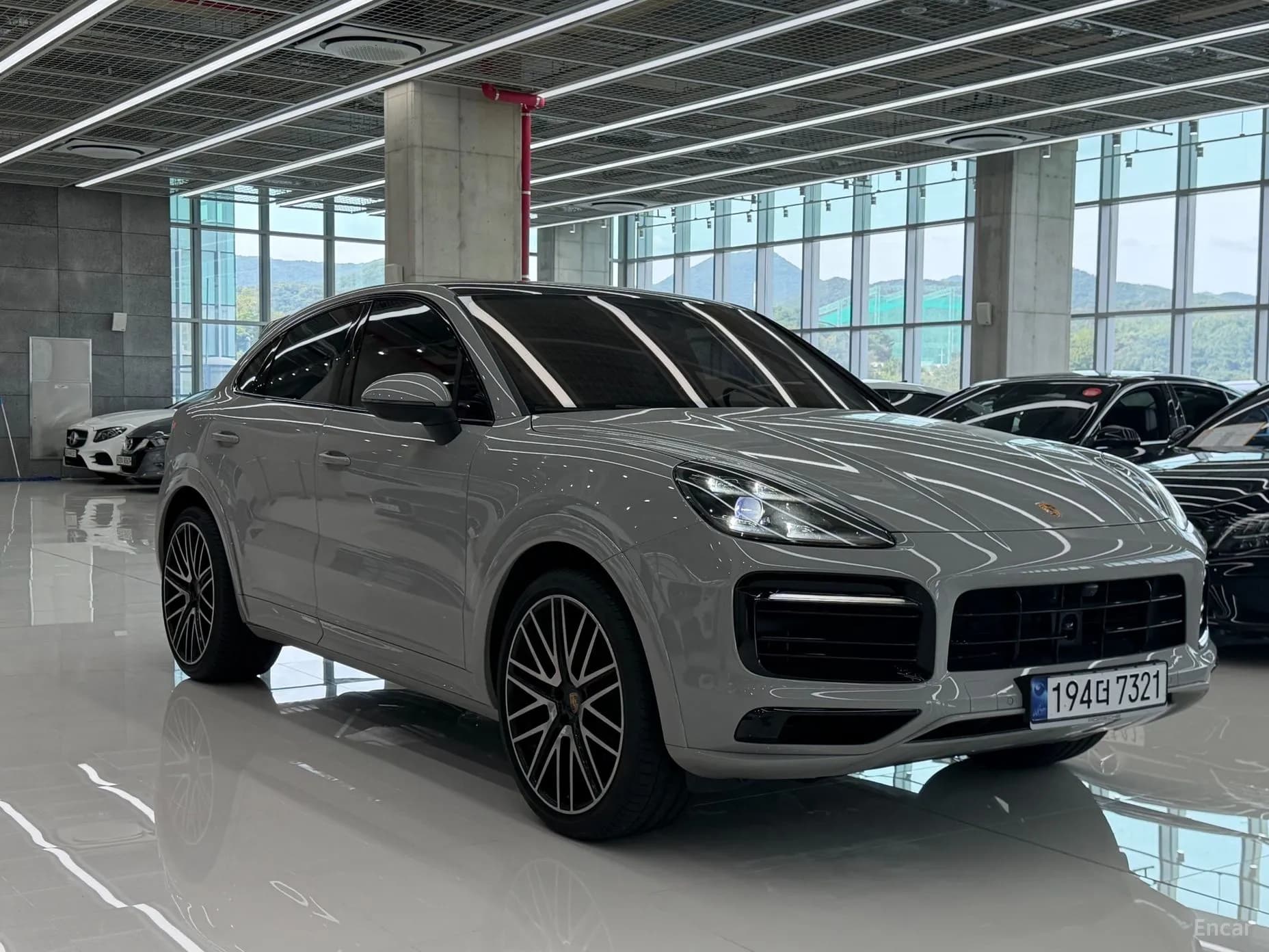 Cayenne (PO536)