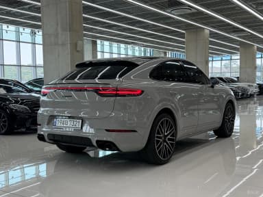 Cayenne (PO536)
