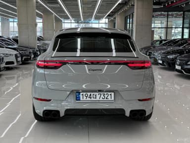 Cayenne (PO536)